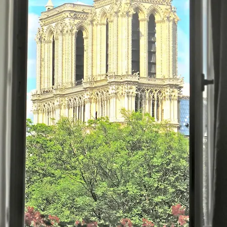 The Romantic Notre Dame * パリ