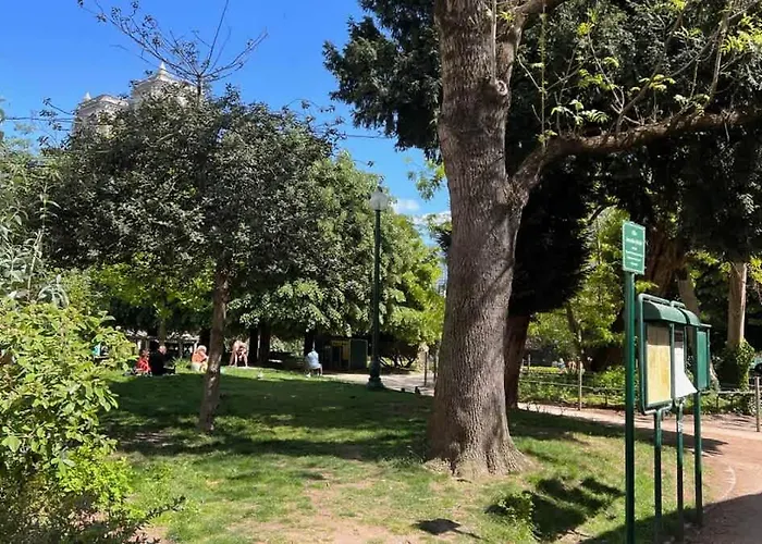 The Romantic Notre Dame *